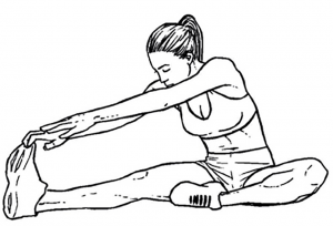 Hamstring Stretch